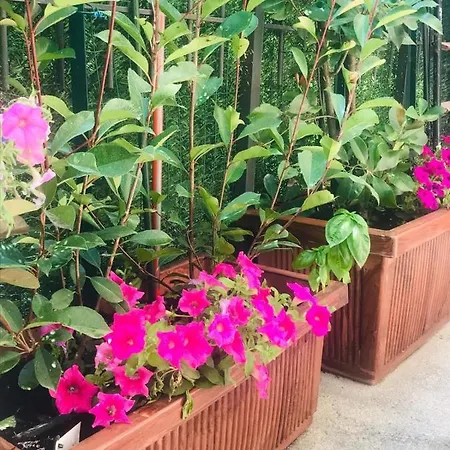 Apartment Oasi Di Paradiso - Comfy Private On Ground Floor With Terrace Desenzano del Garda