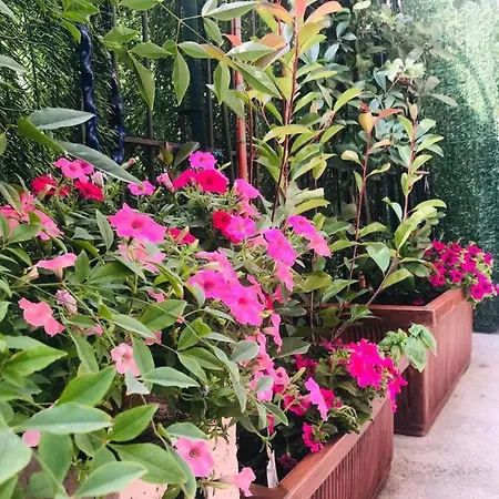 Apartment Oasi Di Paradiso - Comfy Private On Ground Floor With Terrace